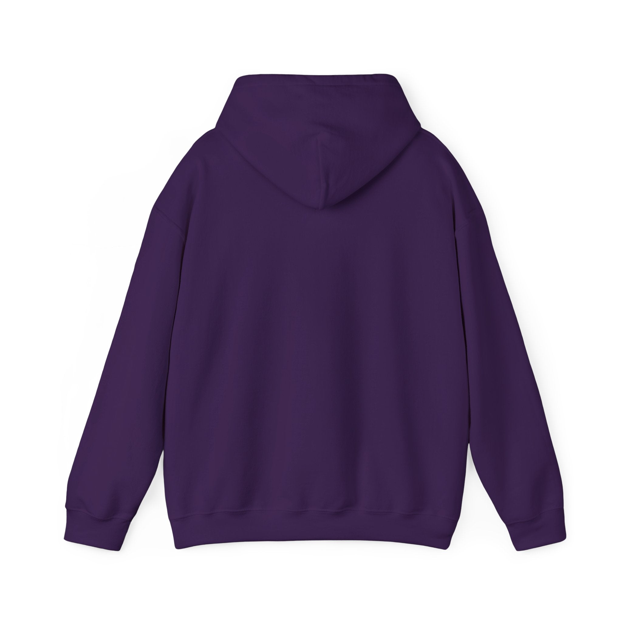 We're Fine Hoodie — Server Admin Chibi T-Rex Dumpster Fire Pullover