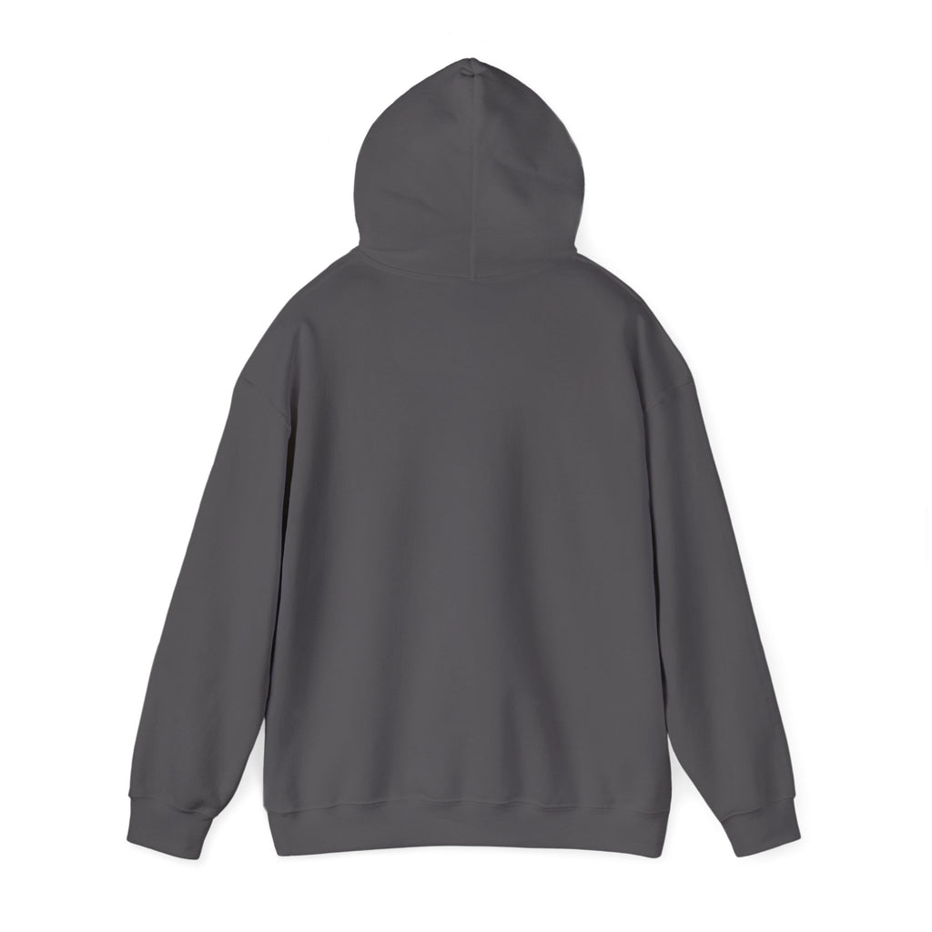 We're Fine Hoodie — Server Admin Chibi T-Rex Dumpster Fire Pullover