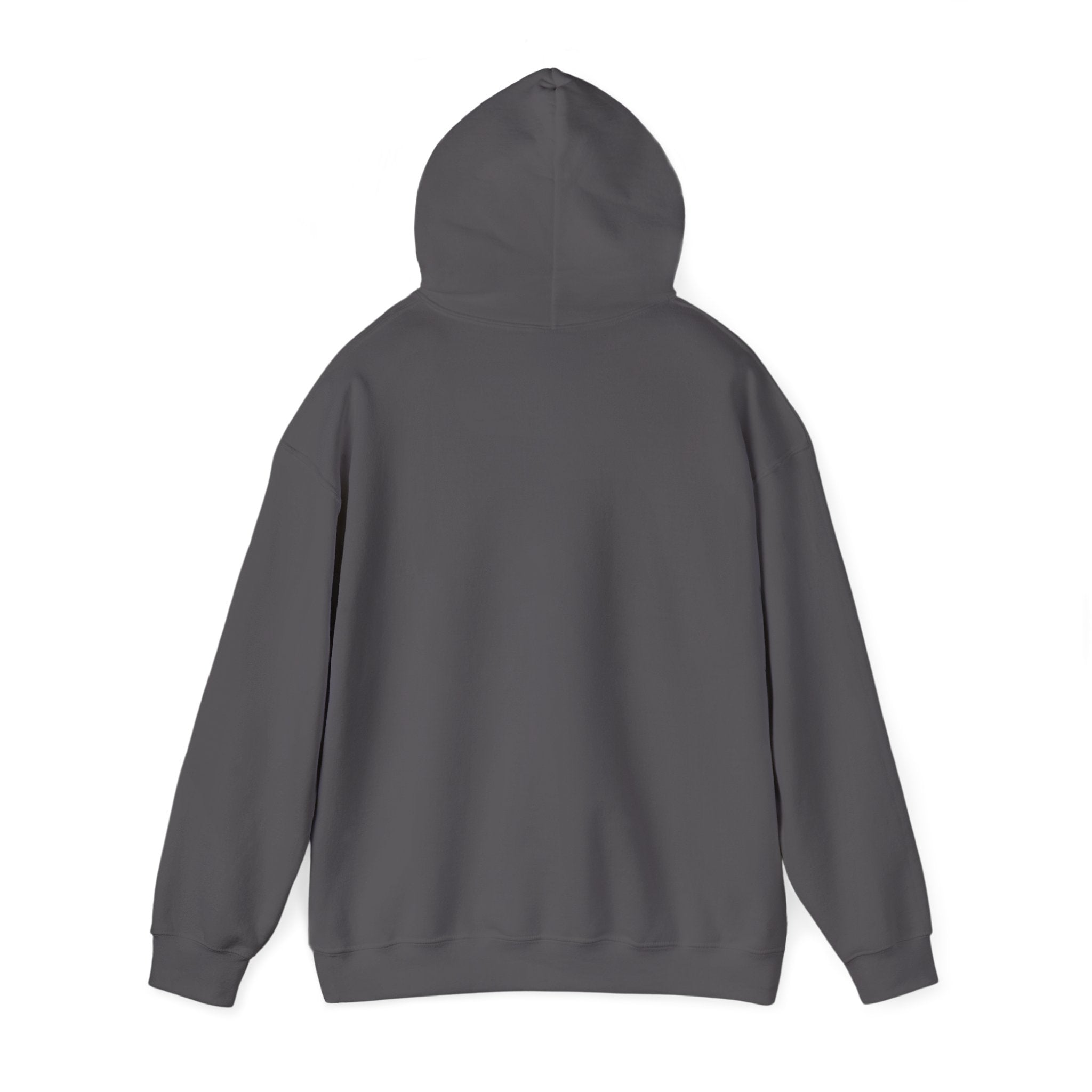 We're Fine Hoodie — Server Admin Chibi T-Rex Dumpster Fire Pullover