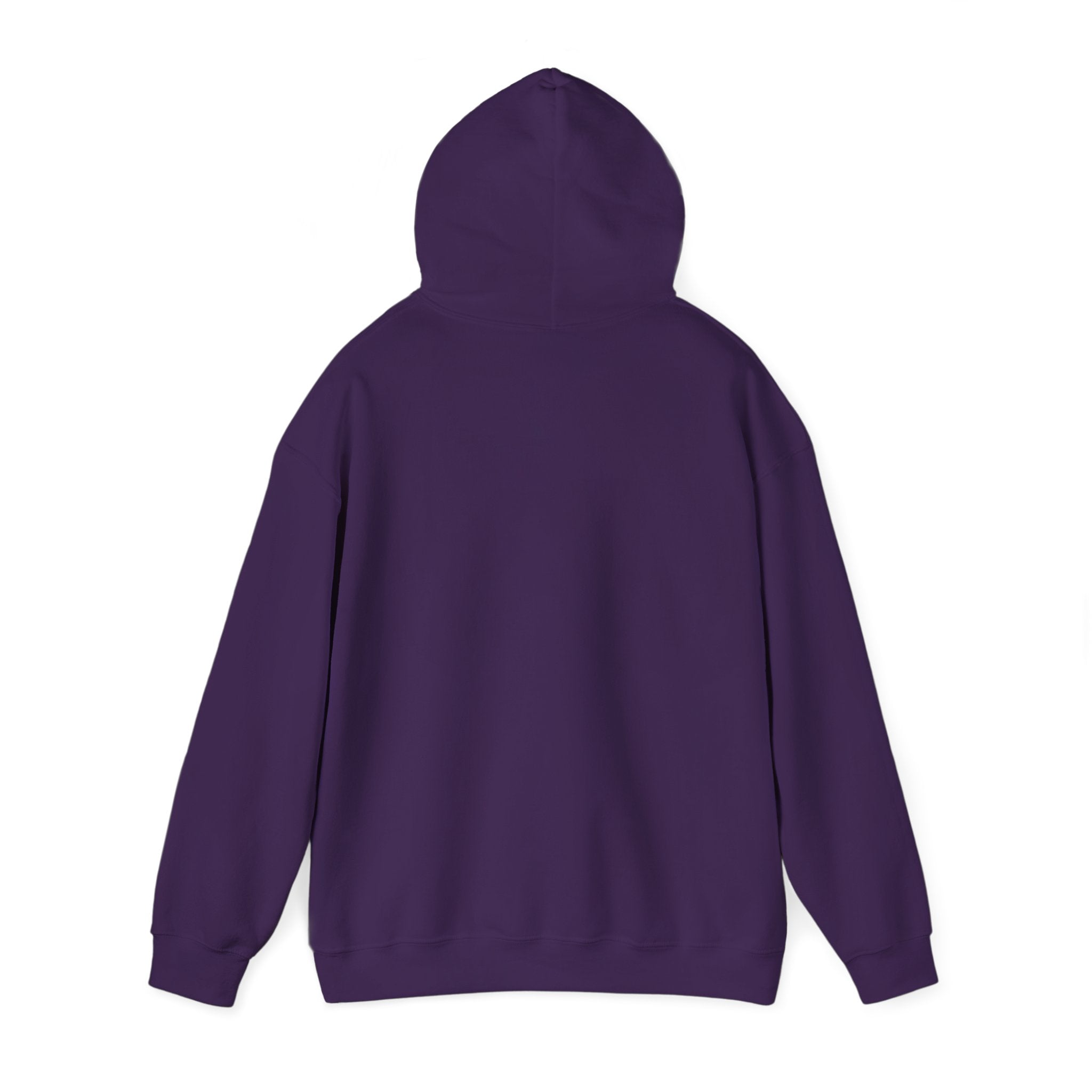 The Sea Is Fake Hoodie — Lightning T-Rex ARK Pullover