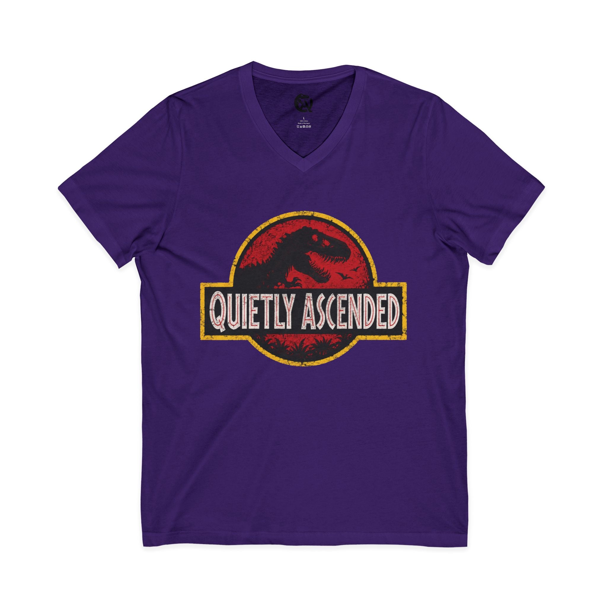 Unisex Jersey Short Sleeve V-Neck Tee