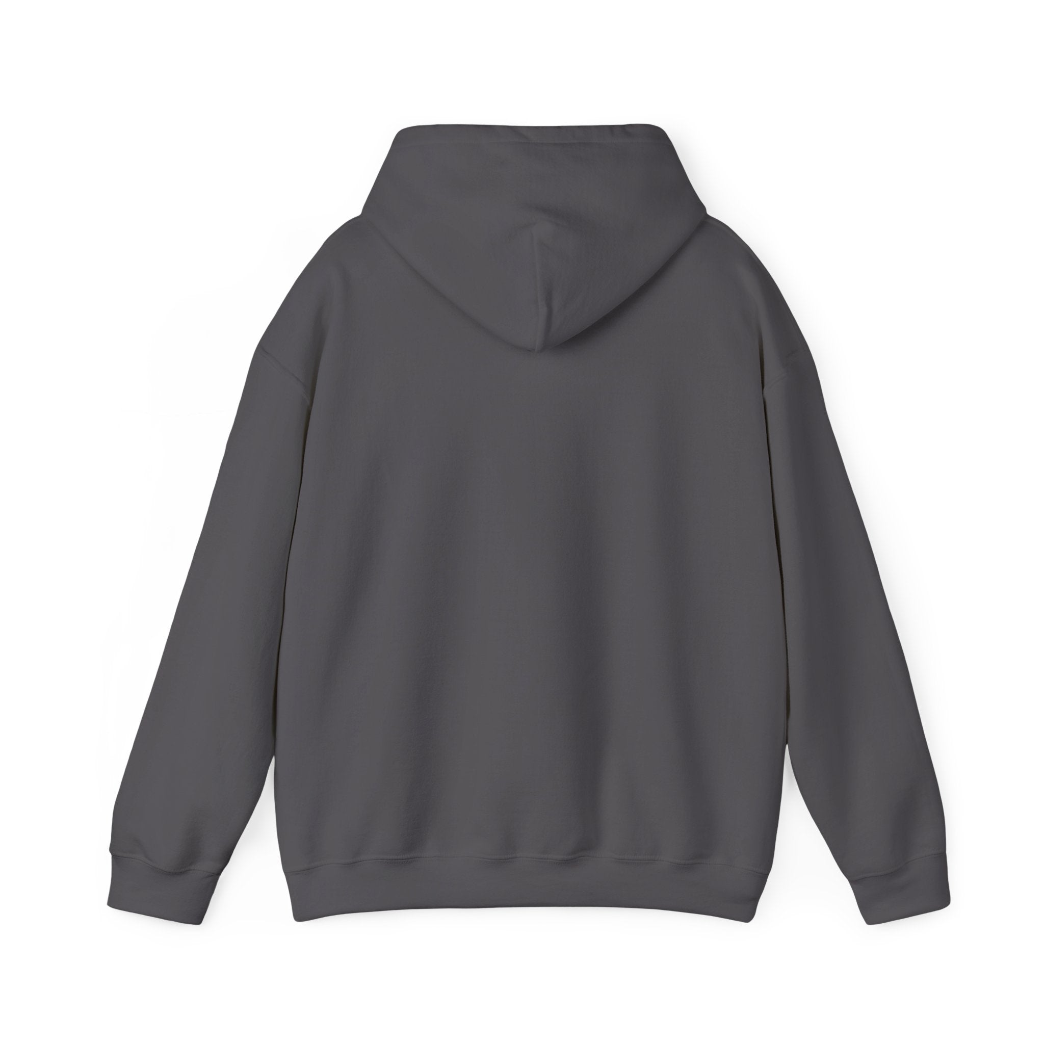 We're Fine Hoodie — Server Admin Chibi T-Rex Dumpster Fire Pullover